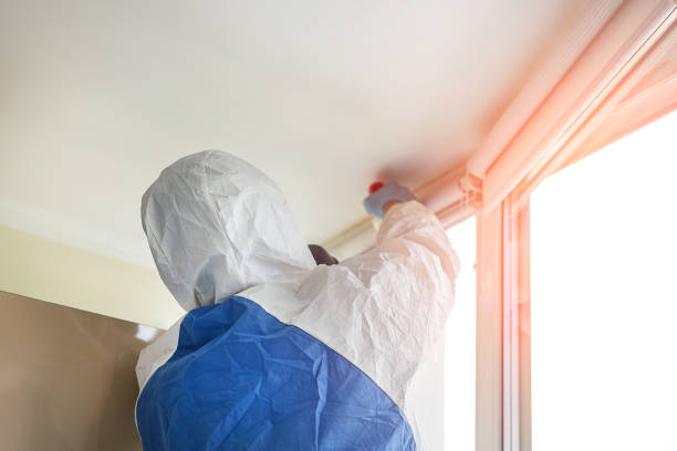 Professional Mold Removal Services in White Oak, MS