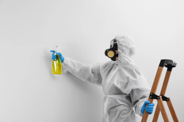 Why You Should Choose Our Mold Remediation Services in White Oak, MS